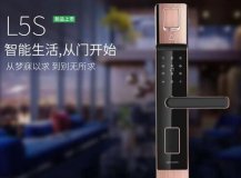 海(hǎi)康威視(shì)L5S智能(néng)指紋鎖