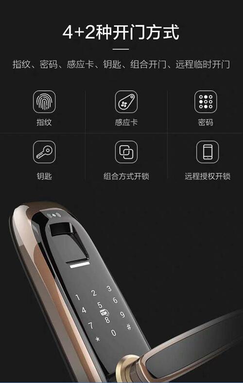 海(hǎi)康DL21S家(jiā)用(yòng)互聯網指紋密碼鎖